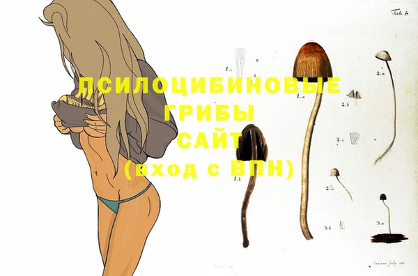 мдма Очёр