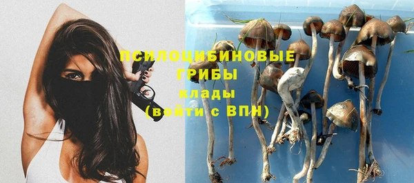 метамфетамин Павлово