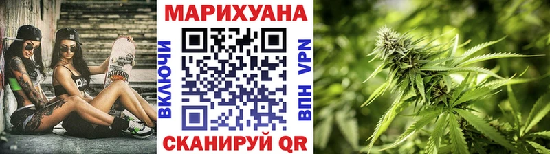 Конопля конопля  Терек 
